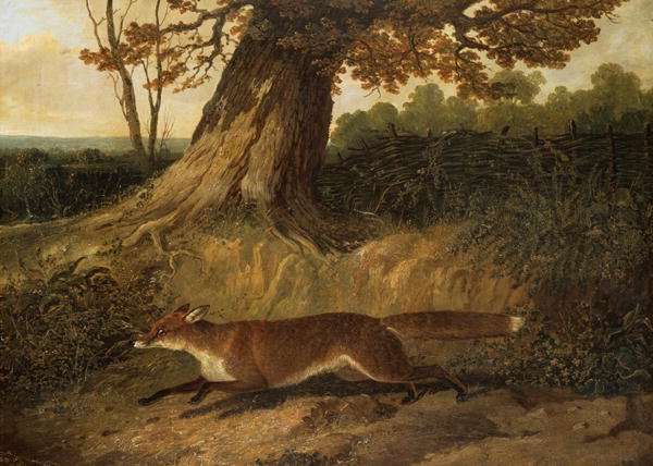 Fox on the run by John Frederick Herring, Sr.