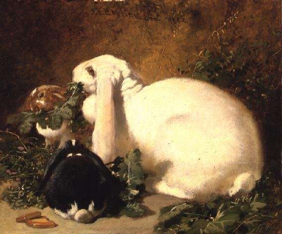 A Doe Rabbit and her two young, 1852 by John Frederick Herring, Sr.