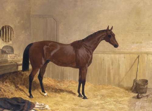 Cotherstone A Racehorse 1843 by John Frederick Herring, Sr.