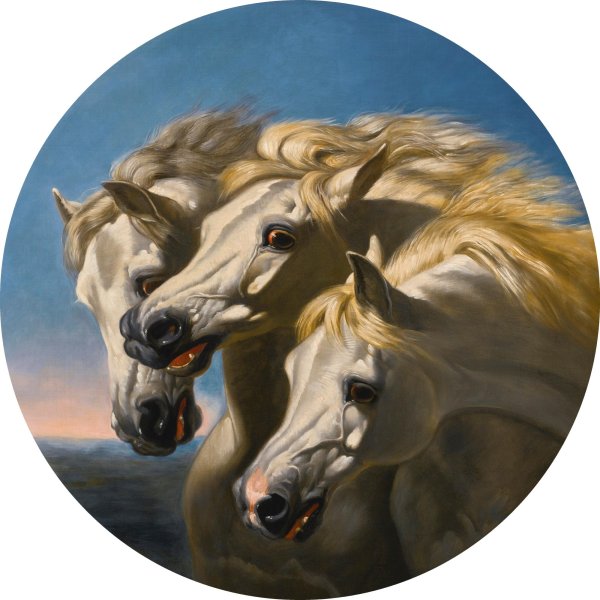 The Pharaoh's Horses