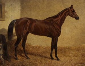 'Crucifix', Winner of the St Leger