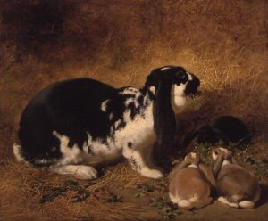 A Doe Rabbit and her two young, 1852