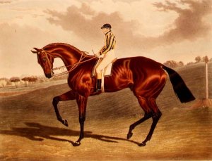 'Bay Middleton' winner of the Derby in 1836