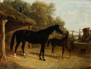 A Welsh Mountain Mare and Foal, 1854