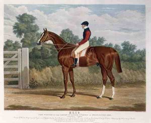 'Elis', the Winner of the Great St. Leger Stakes at Doncaster, 1836