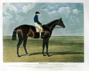 'Mango', the Winner of the Great St. Leger Stakes at Doncaster, 1837