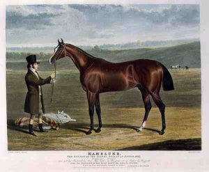 'Charles XII', the Winner of the Great St. Leger Stakes at Doncaster, 1839