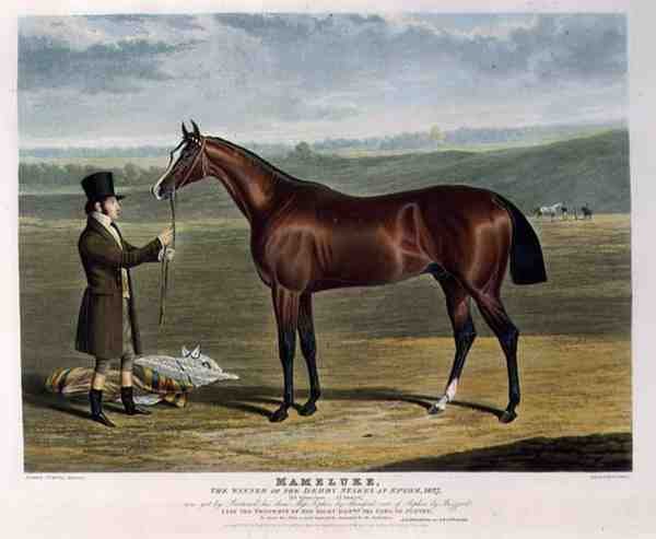 'Mameluke', the Winner of the Derby Stakes at Epsom, 1827