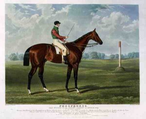 'Phosphorus', the Winner of the Derby Stakes at Epsom, 1837