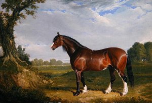 A Clydesdale Stallion, 1820