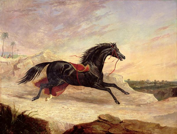 Arabs chasing a loose arab horse in an eastern landscape