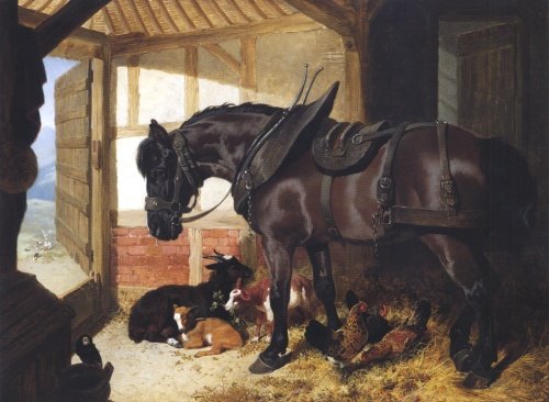 A Bay Carthorse 1848