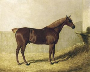 A Chestnut Horse in a Stable