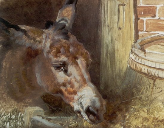 A Donkey Feeding