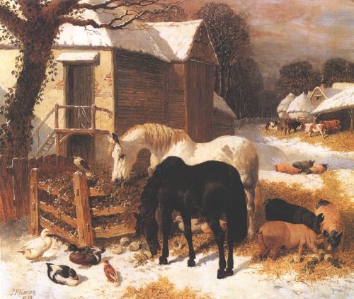 Barnyard In Winter