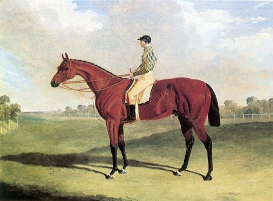 Bay Middleton With Jockey Up at Six Mile Bottom 1836