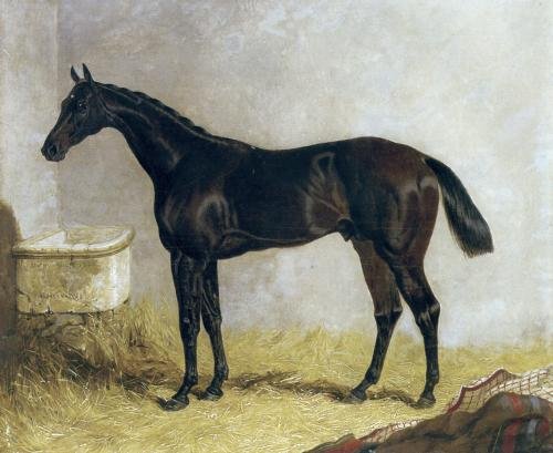 Birmingham in a Stable 1830