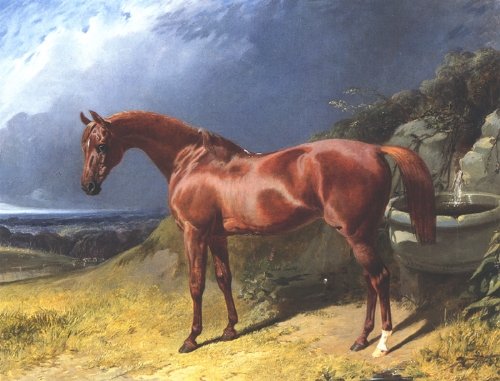 Chestnut A Racehorse