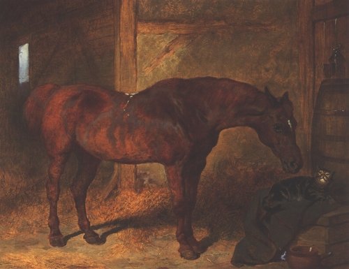 Chestnut Hunter and Cat in Stable