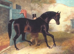 Dark Bay Racehorse by Stable