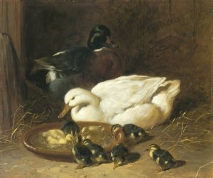 Ducks And Ducklings 2