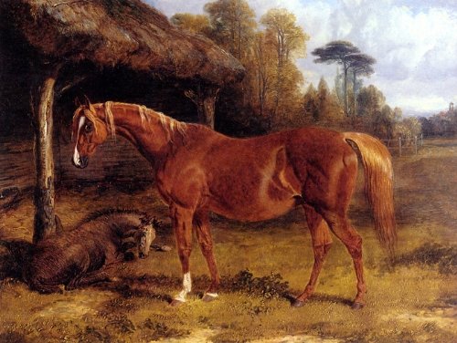 Mare And Foal By A Shed