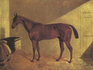 Margrave Winner St Leger 1834