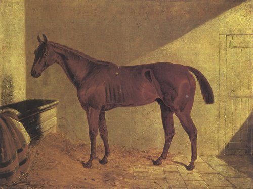 Margrave Winner St Leger 1834