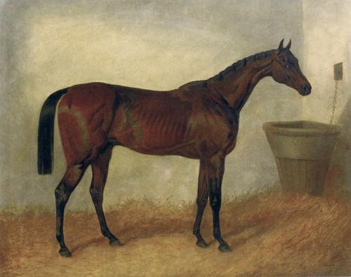 Merry Monarch A Bay Mare In a Stable 1845