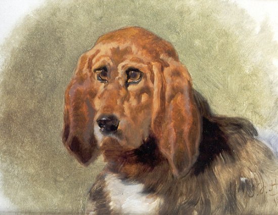 Study of a Hound