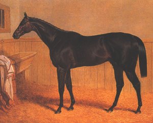 The American Trotter Ratler 1834