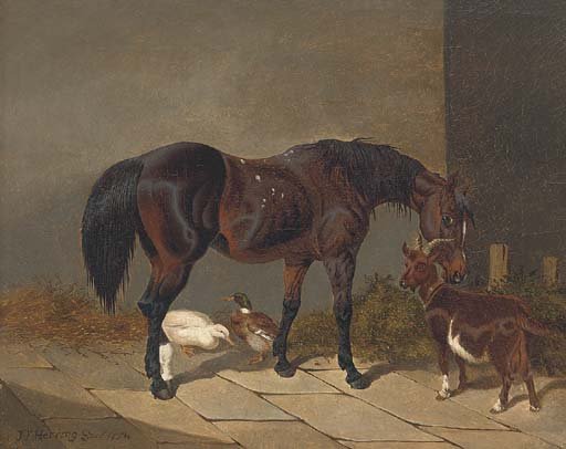 A bay horse with a goat and ducks