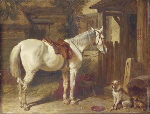 A saddled grey pony and dogs outside an inn