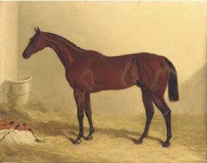 Bedlamite, a chestnut racehorse held by his trainer, in an extensive landscape