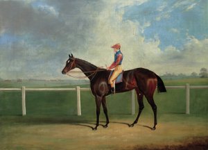 Bedlamite, a chestnut racehorse held by his trainer, in an extensive landscape