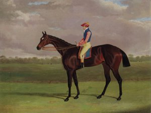 Birmingham, winner of the 1830 St. Leger Stakes, in a stable