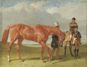 Camel, a dark bay racehorse in a landscape