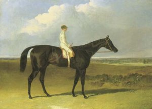 Mr Ridsdale's Bloomsbury, winner of the 1839 Derby, in a stable