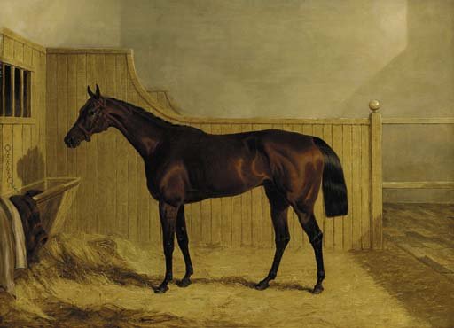 Mr Ridsdale's Bloomsbury, winner of the 1839 Derby, in a stable