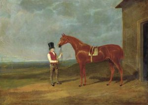 Mr Ridsdale's Bloomsbury, winner of the 1839 Derby, in a stable