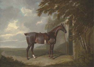 Mr. Dixon's Mountaineer, a chestnut colt, held by a groom outside a stable