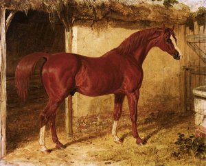 Langar, A Chestnut Racehorse Outside A Stable