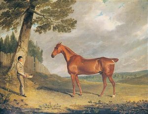 A Chestnut Hunter And Groom In A Landscape