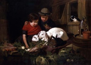 Rabbit Fanciers