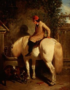 A Corner of a Farmyard with a Boy Sitting on a Grey Horse and a Goat eating nearby