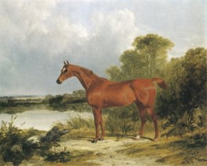 A Chestnut Hunter 1838