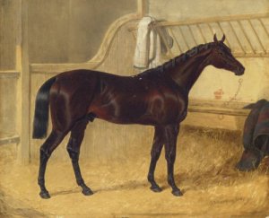 Charles The 12th St. Leger Winner 1839