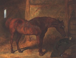 Chestnut Hunter and Cat in Stable