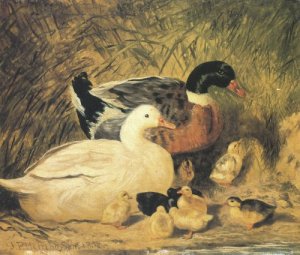 Ducks And Ducklings 2