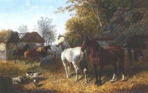 Horses and Ducks In Farmyard